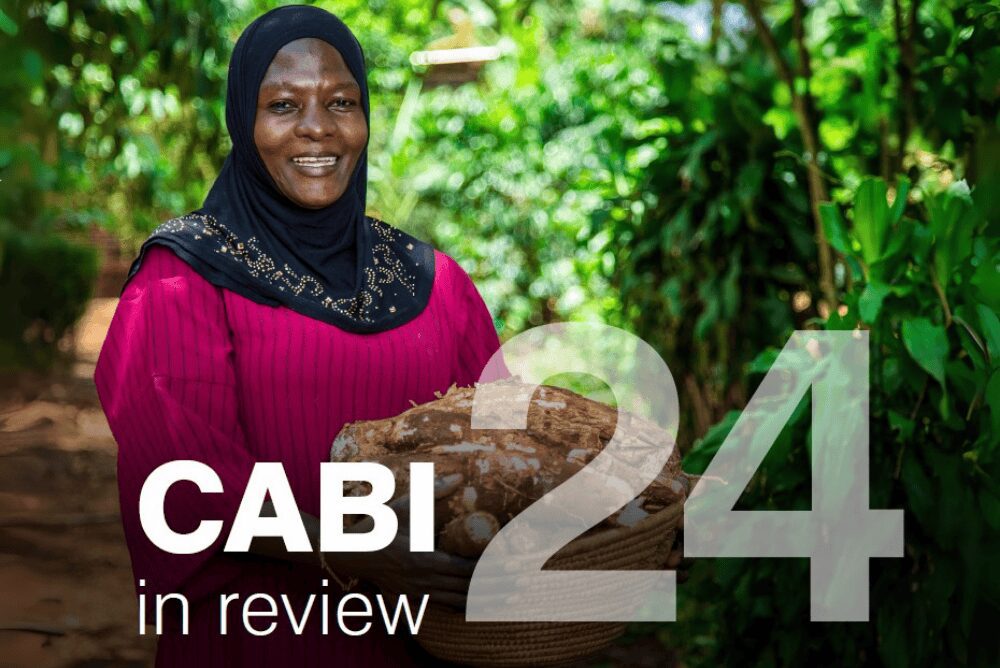 Accesspointzone in review no logo