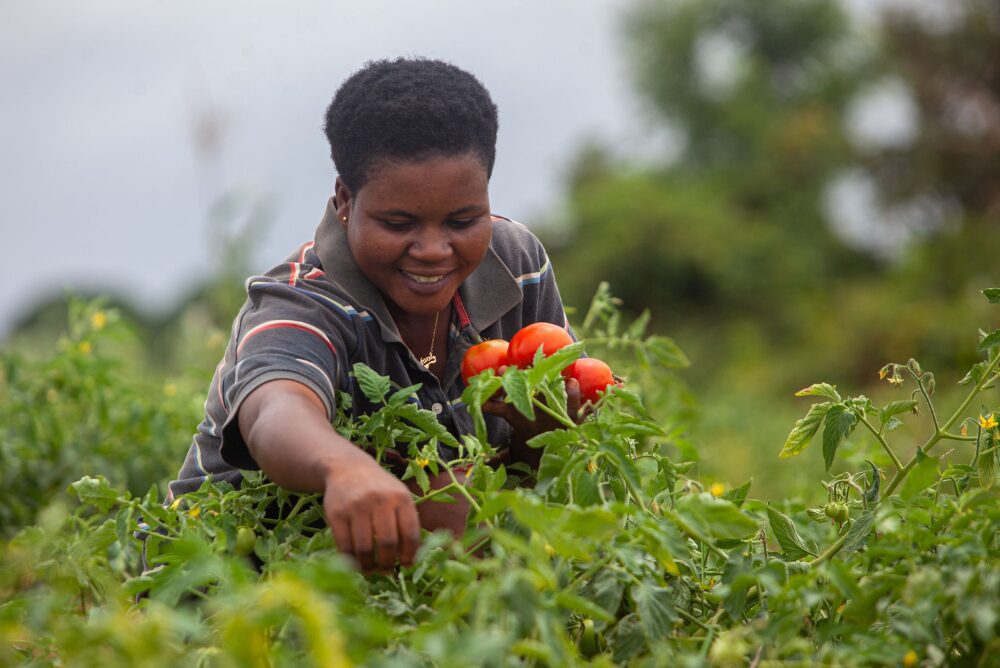 women farmer Ghana Accesspointzone featured (1)